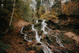 a small waterfall in the middle of a forest