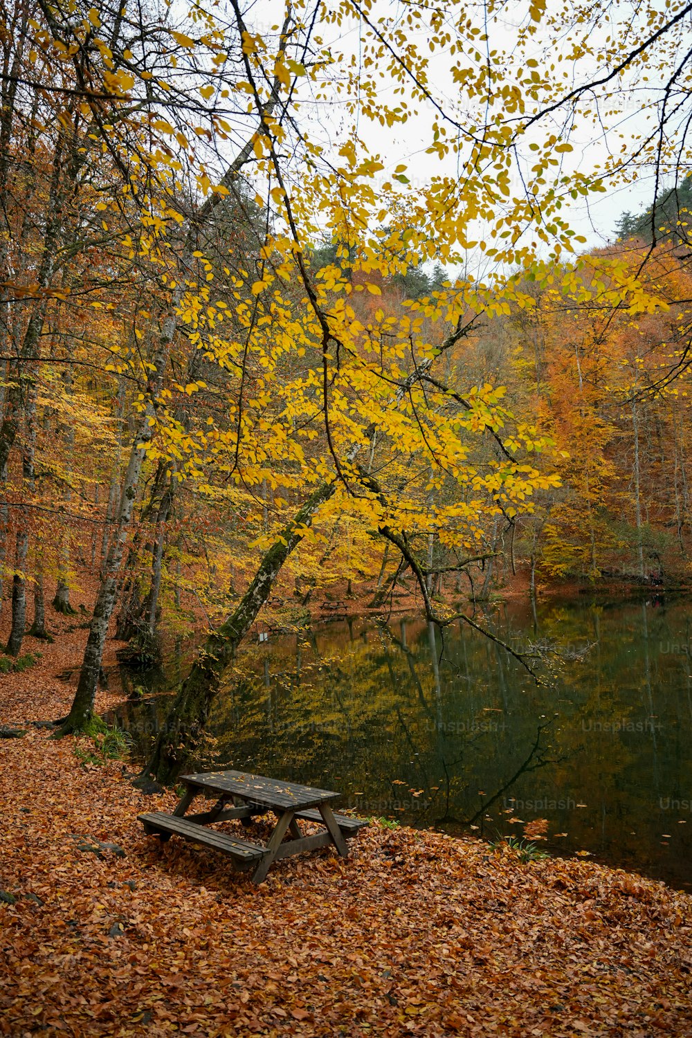 una mesa de picnic sentada junto a un lago rodeado de árboles