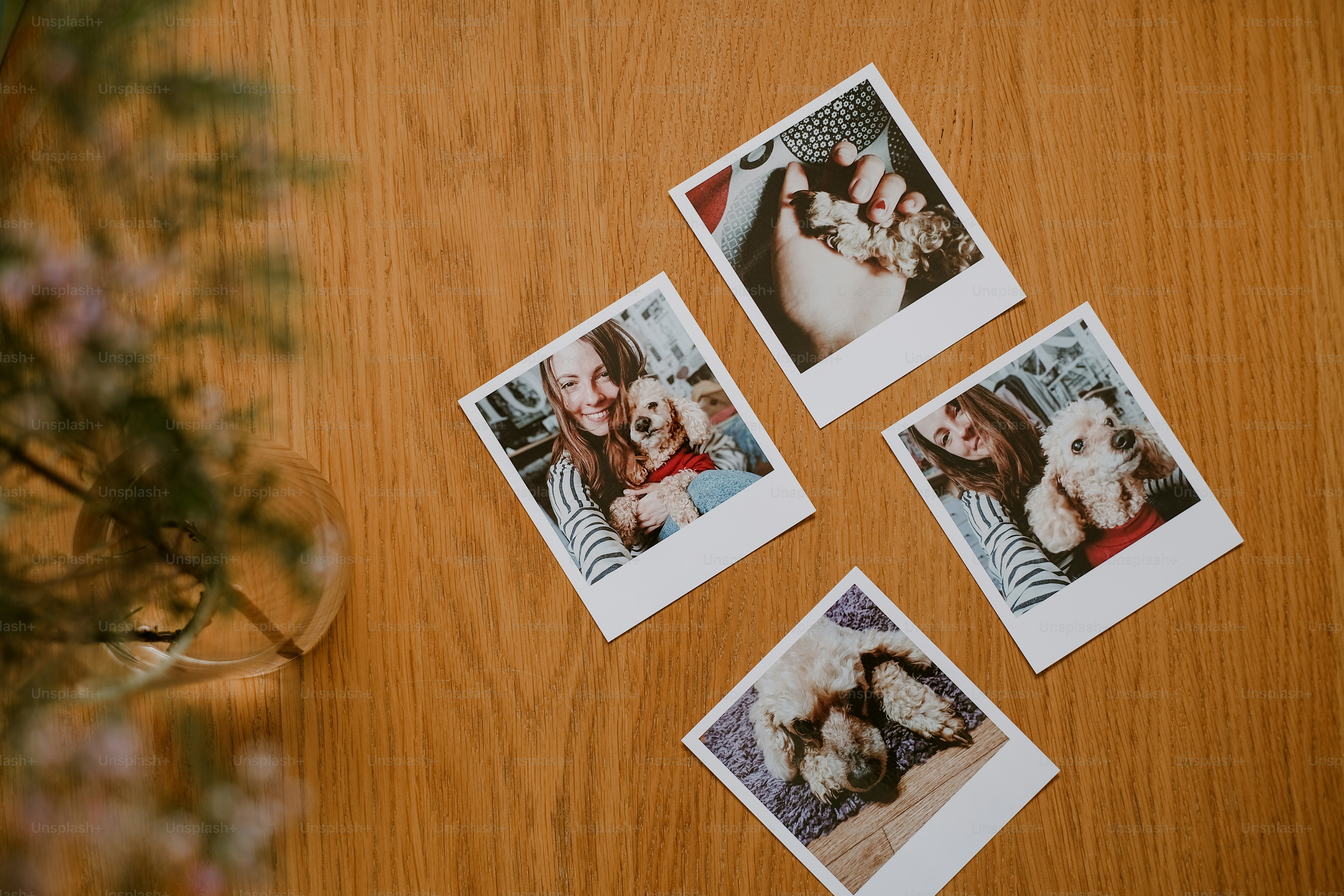 a wooden table topped with pictures of dogs
