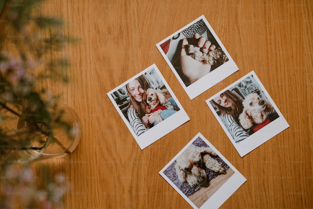 ein Holztisch mit Bildern von Hunden