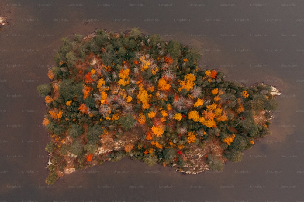 an aerial view of a tree covered island in the water