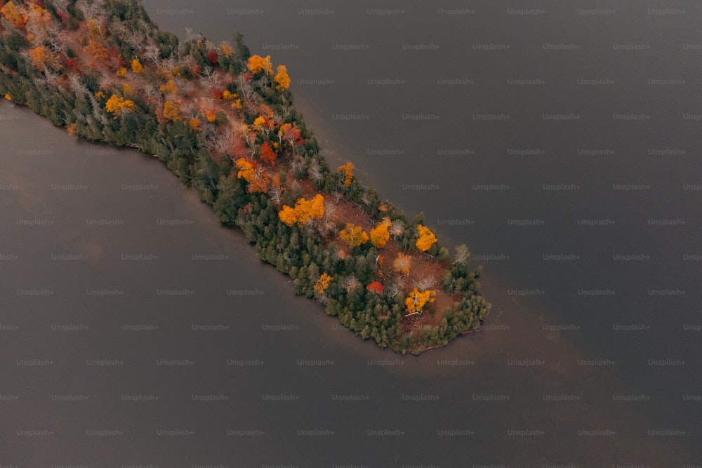 an aerial view of a lake surrounded by trees