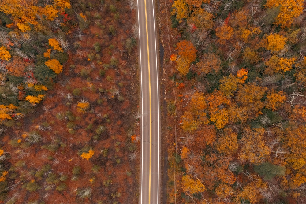 an aerial view of a road surrounded by trees