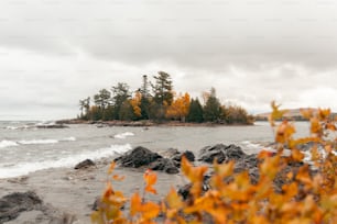 a body of water surrounded by trees and rocks