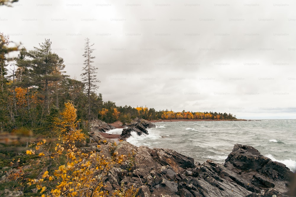 una costa rocciosa con alberi e acqua sullo sfondo