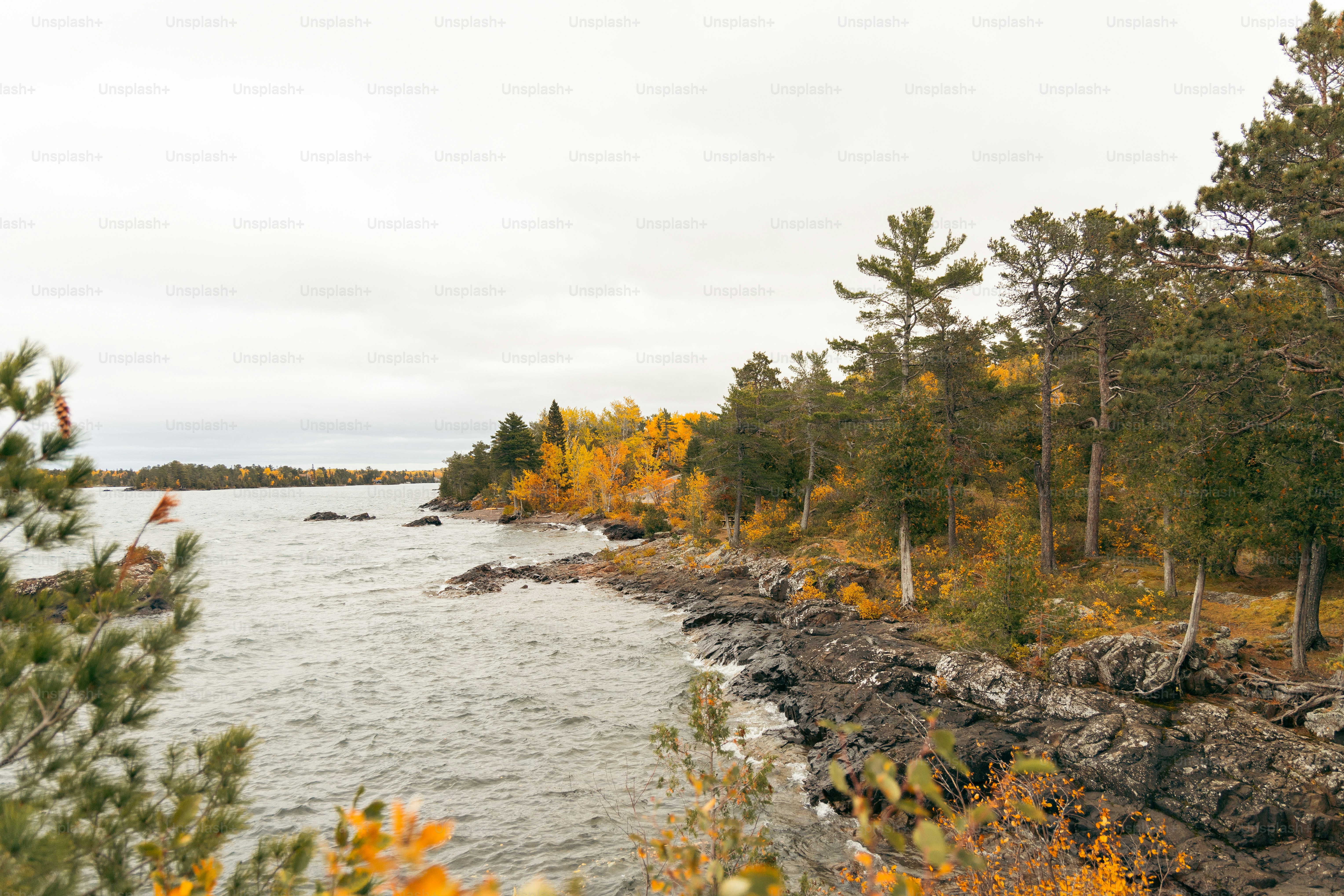 a body of water surrounded by trees and rocks