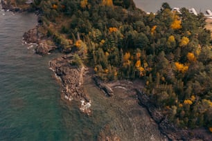 uma vista aérea de uma pequena ilha cercada por árvores