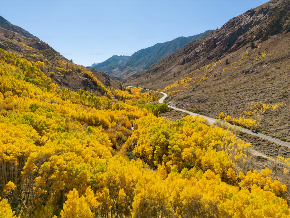 a winding road surrounded by yellow trees in the mountains