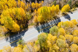 an aerial view of a road surrounded by trees