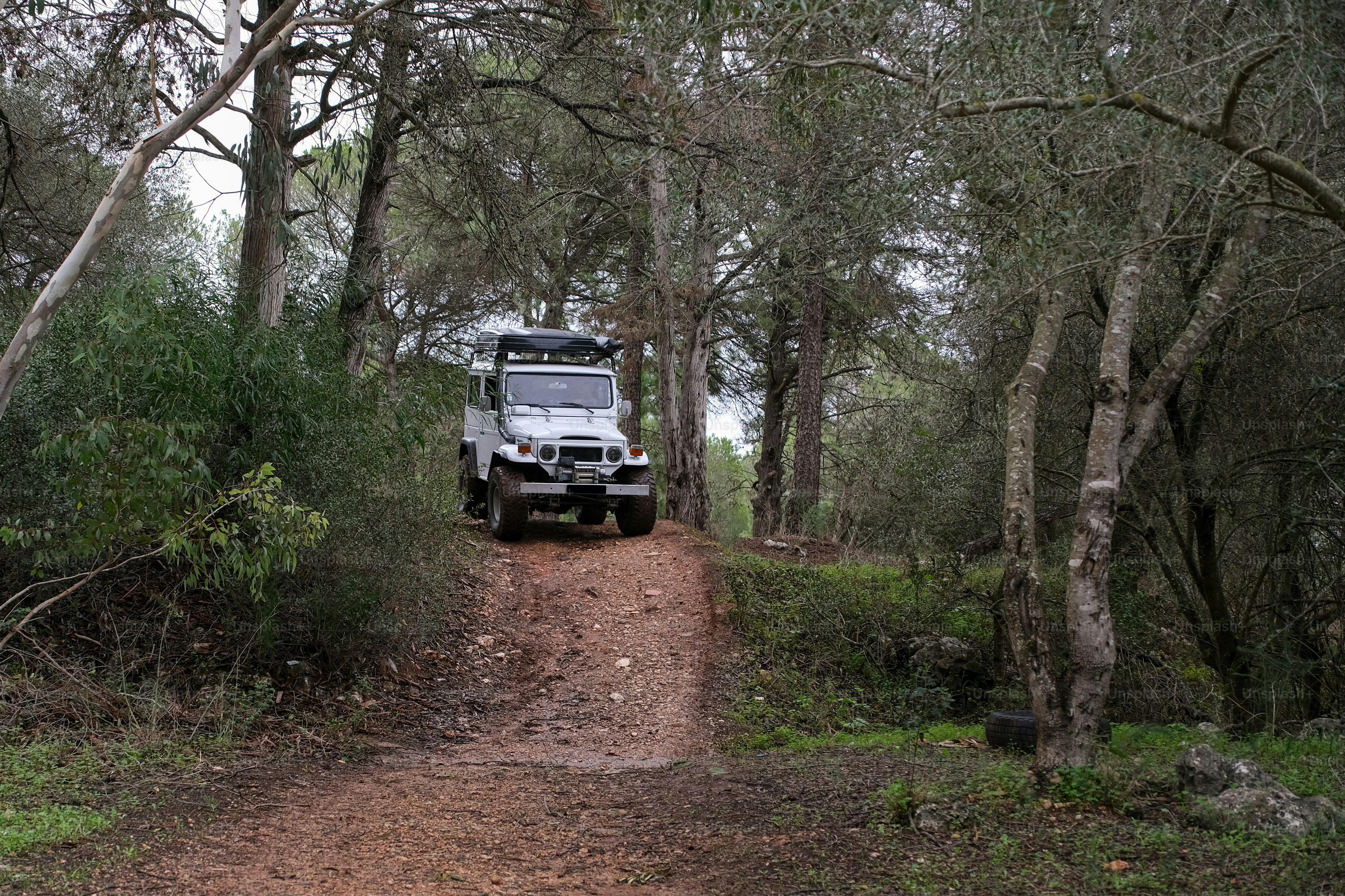 un camion che percorre una strada sterrata attraverso una foresta