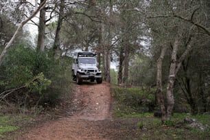 a truck driving down a dirt road through a forest