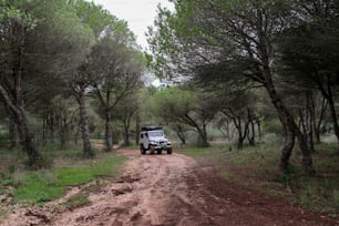 a jeep driving down a dirt road in the woods