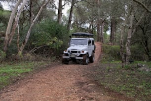 Une jeep est garée sur un chemin de terre dans les bois
