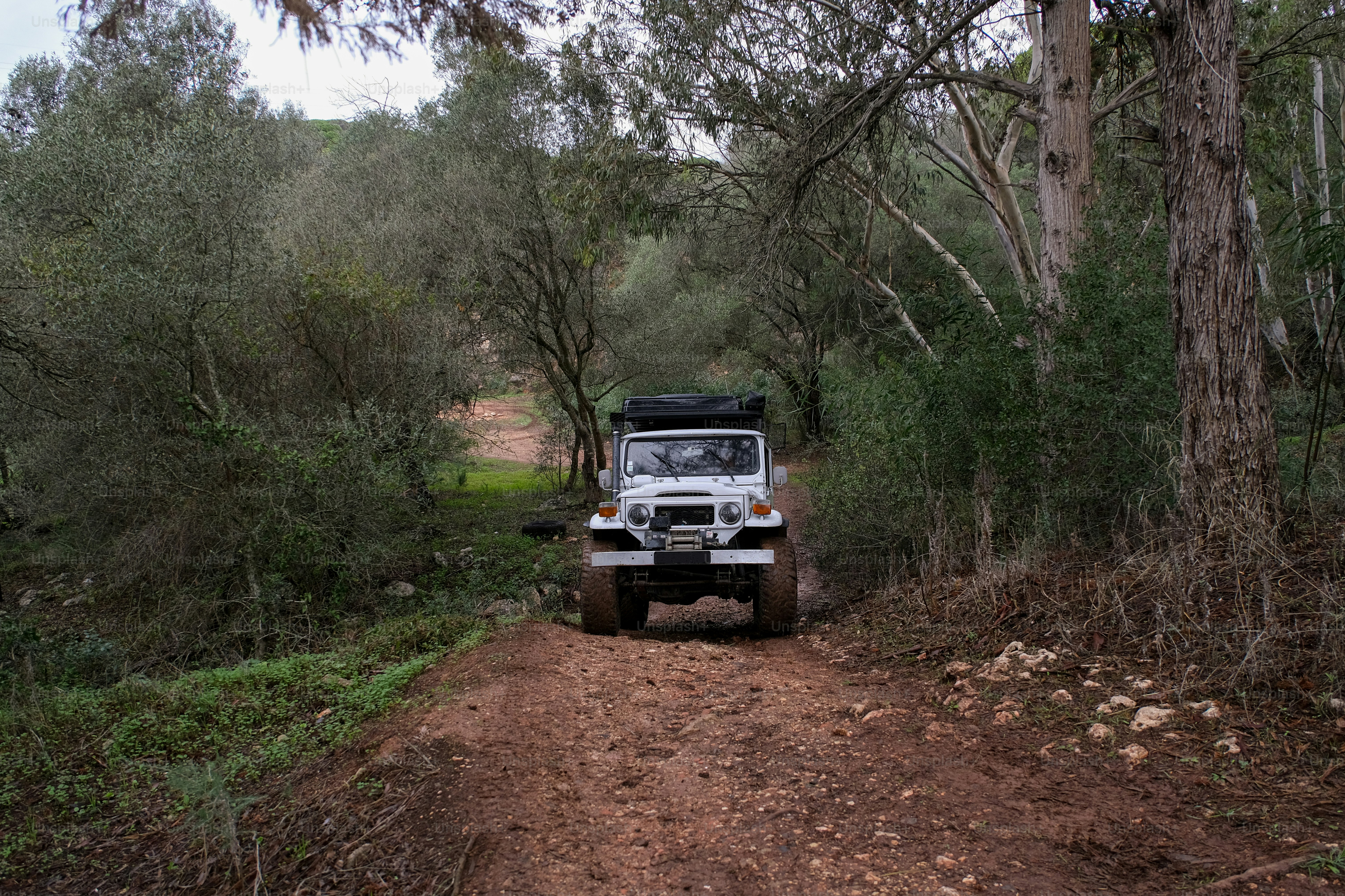 una jeep che percorre una strada sterrata nel bosco