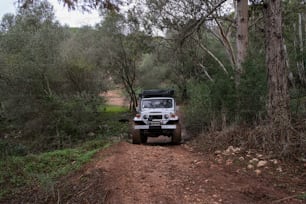 um jipe dirigindo por uma estrada de terra na floresta