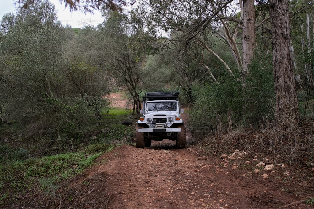 una jeep che percorre una strada sterrata nel bosco