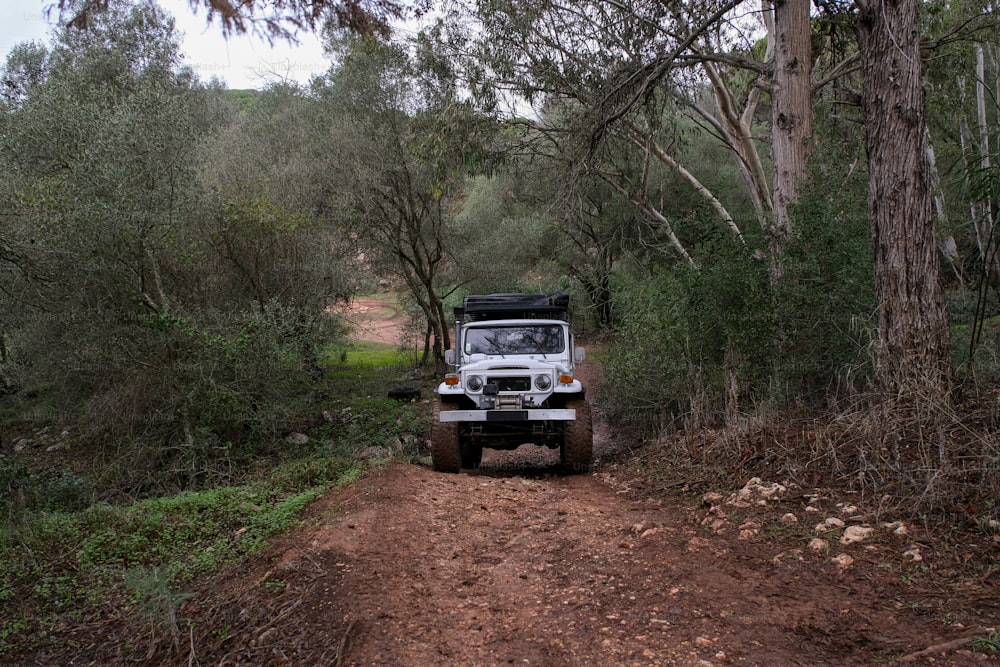 a jeep driving down a dirt road in the woods