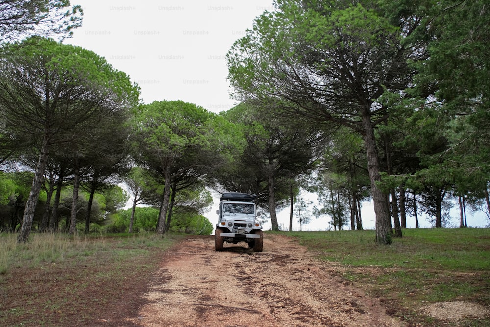 a jeep driving down a dirt road in the woods