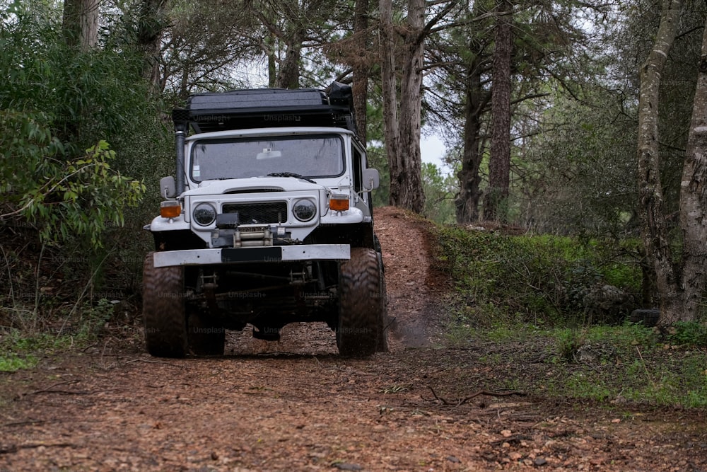 Ein Jeep, der einen Feldweg im Wald entlangfährt