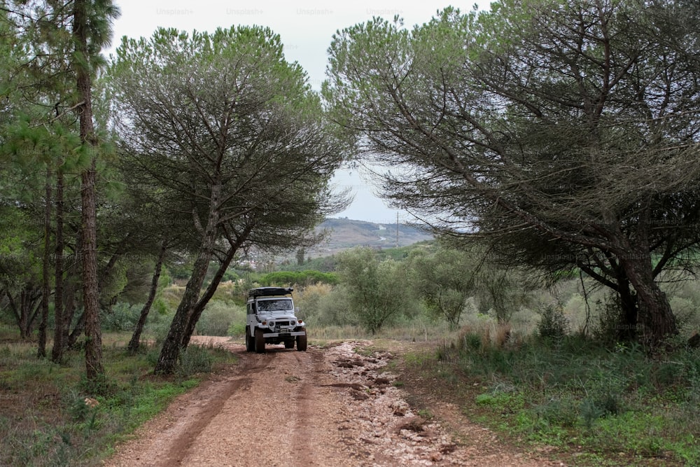 a jeep driving down a dirt road in the woods