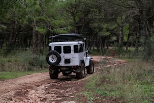 Un jeep blanco conduciendo por un camino de tierra