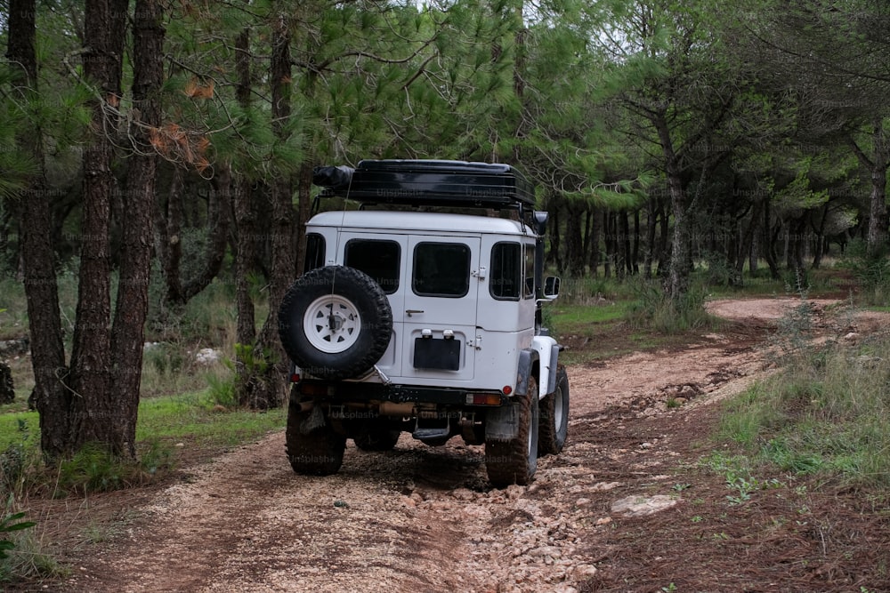 a white jeep driving down a dirt road next to a forest