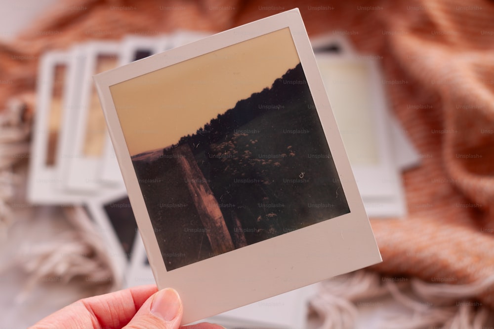 a person holding up a polaroid picture of a mountain