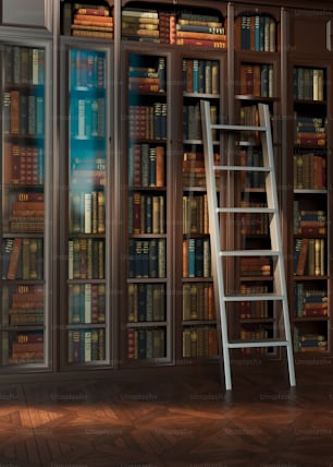 una escalera apoyada en una estantería llena de libros