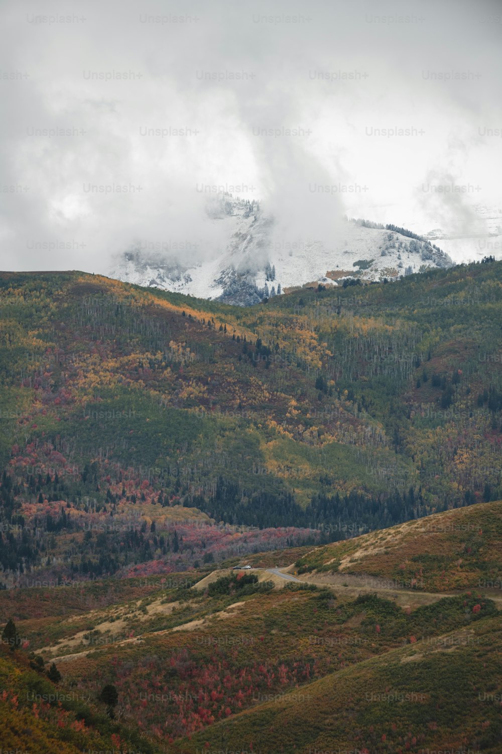 前景に木々が生い茂る山脈の絶景