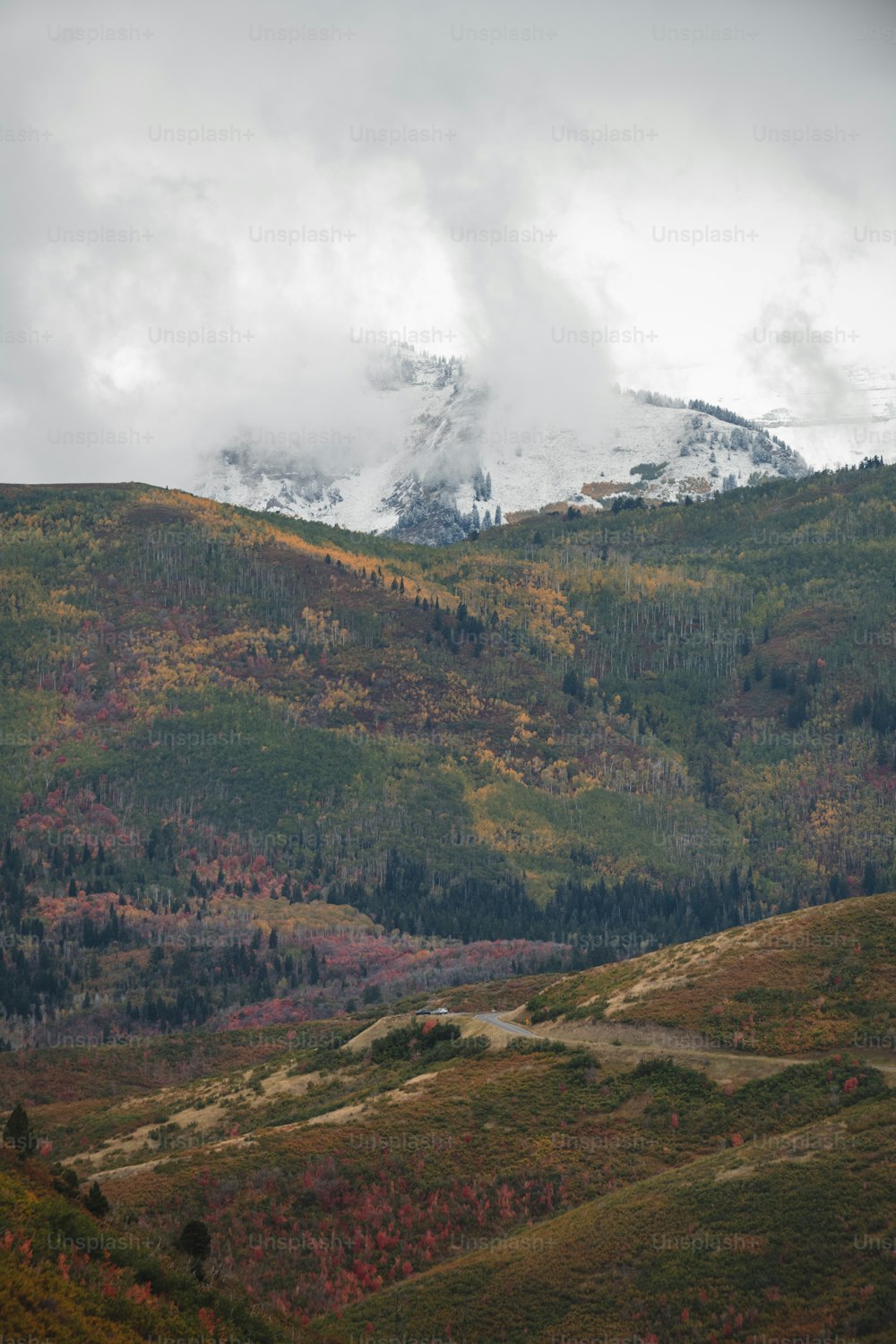 ein malerischer Blick auf eine Bergkette mit Bäumen im Vordergrund