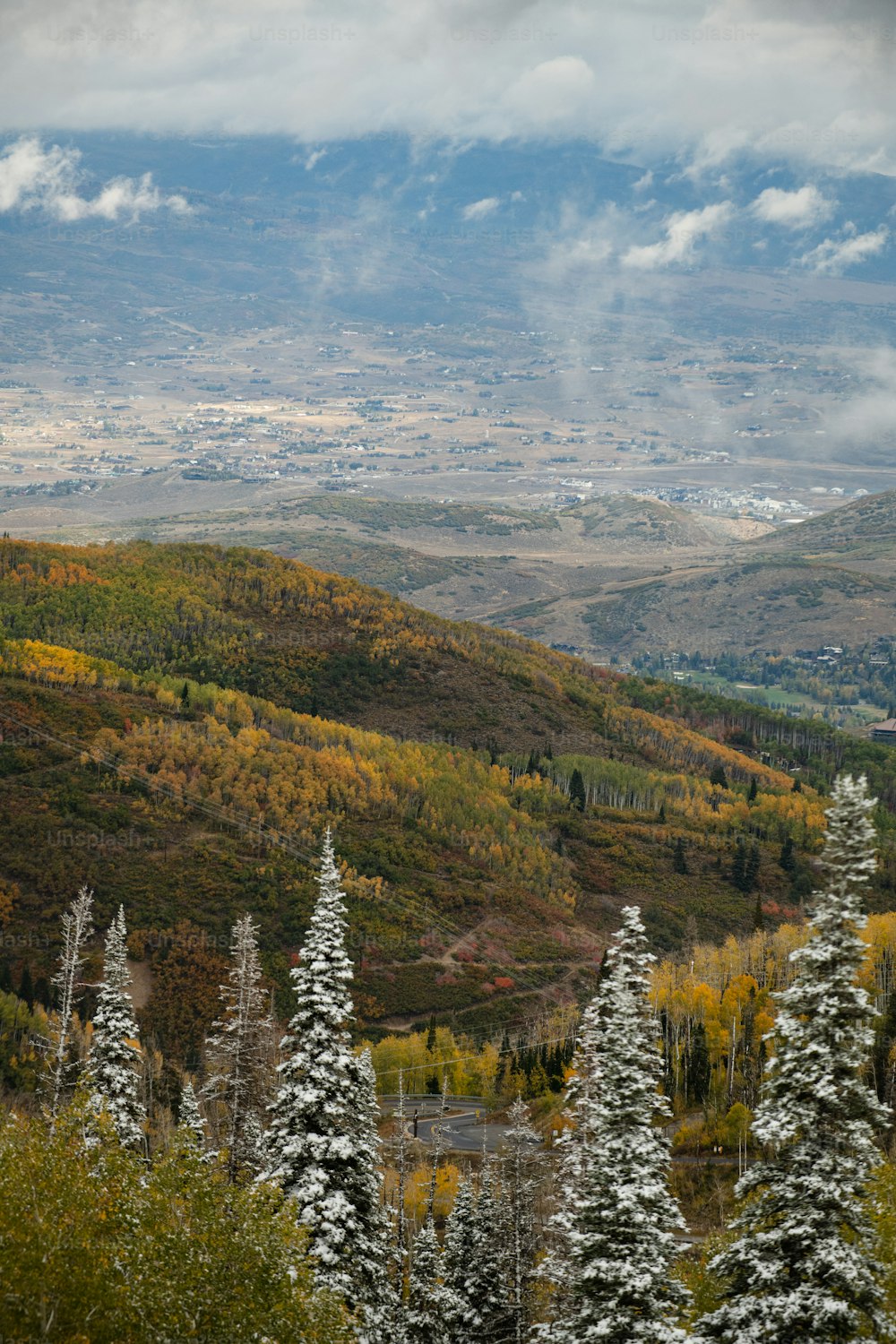 Una vista panoramica di una valle con alberi in primo piano