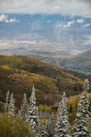 a scenic view of a valley with trees in the foreground