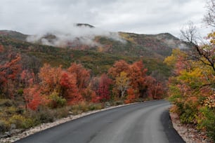 Une route sinueuse entourée d’arbres aux couleurs automnales