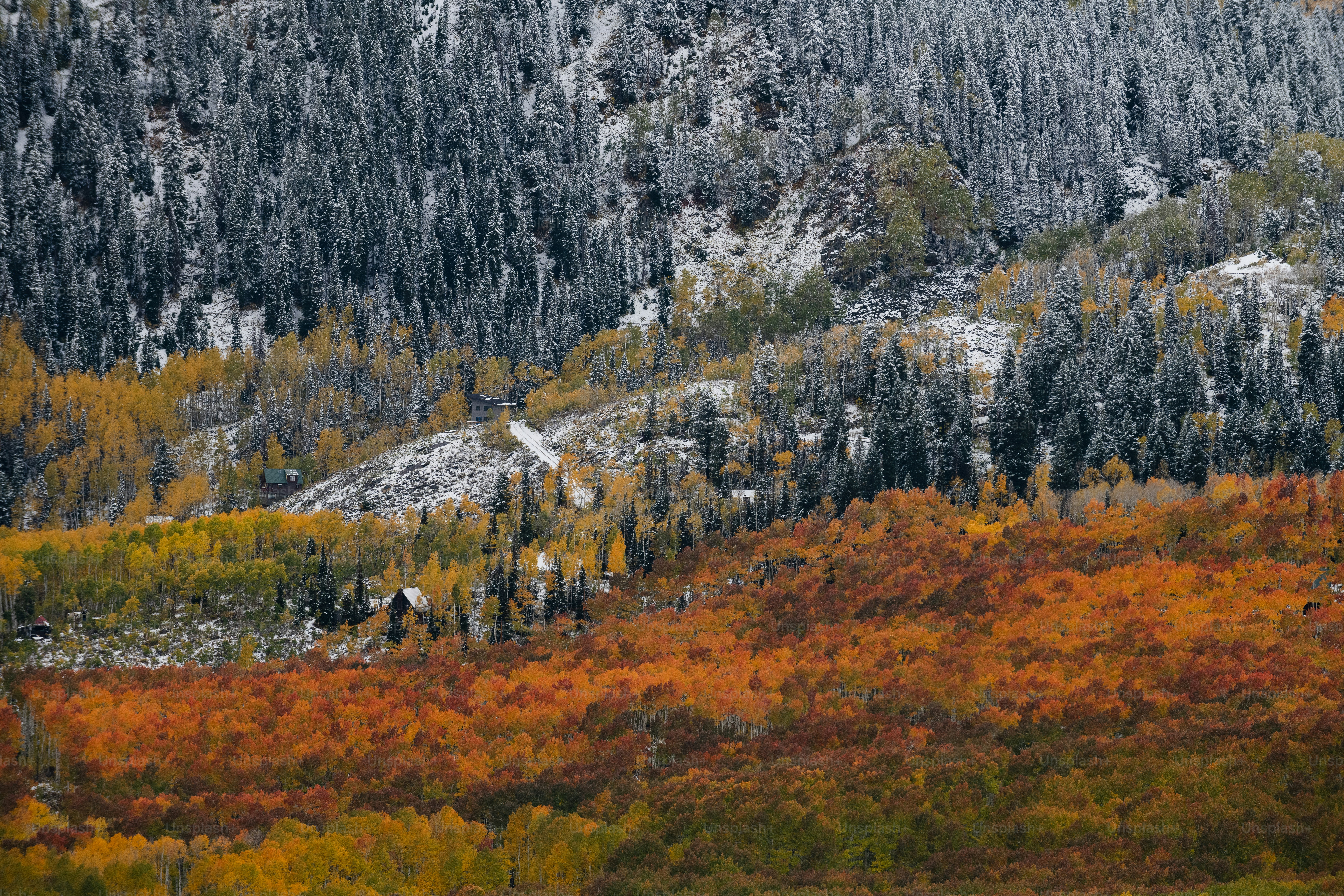 a mountain covered in lots of snow and trees