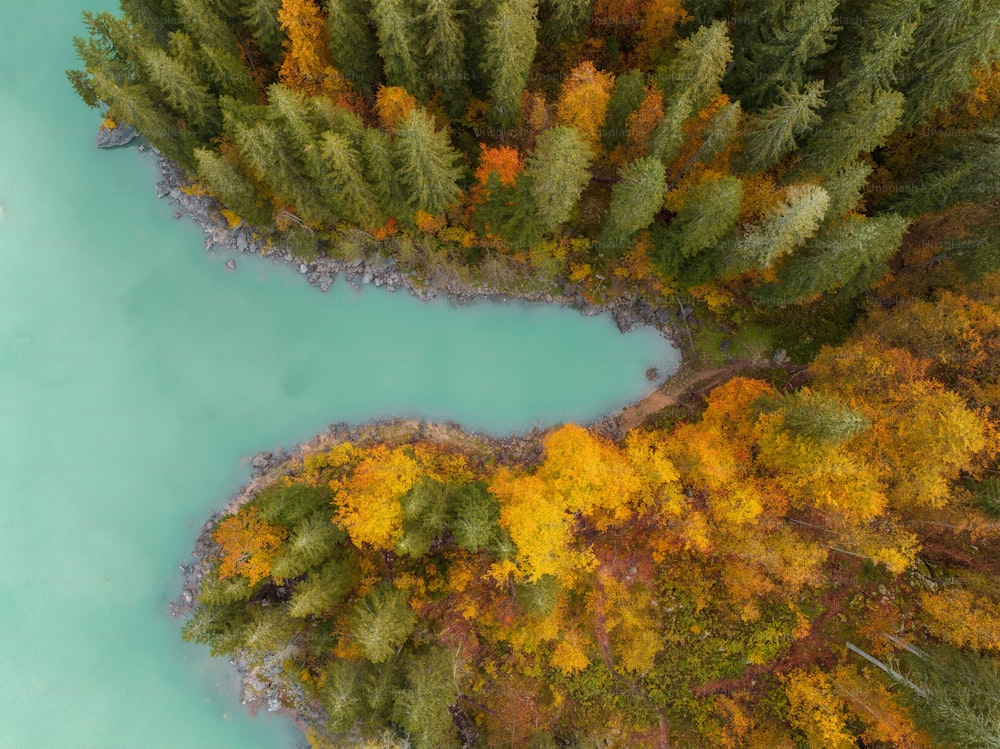 une vue aérienne d’une rivière entourée d’arbres