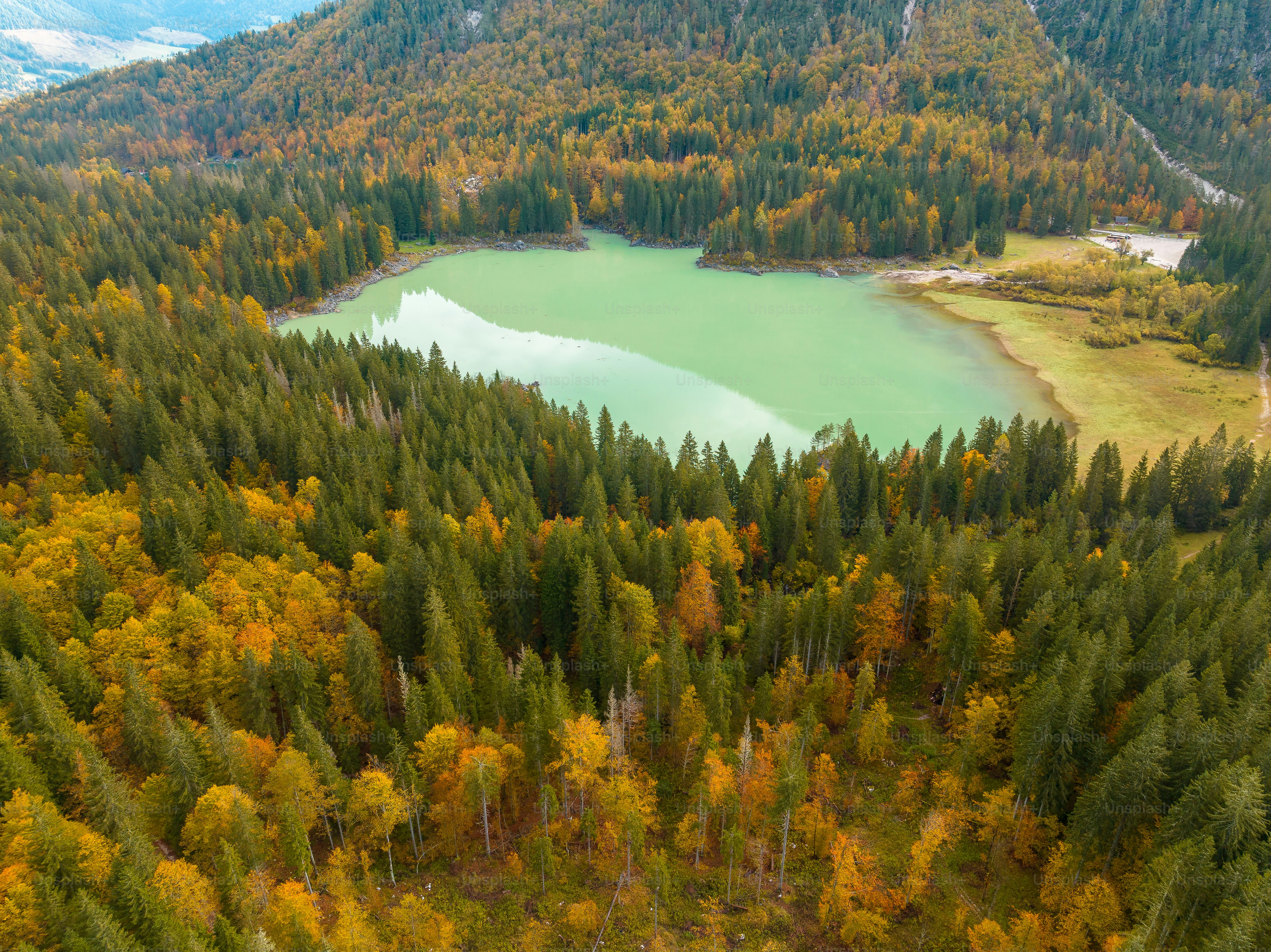 An aerial view of a lake surrounded by trees photo – Forest Image on ...