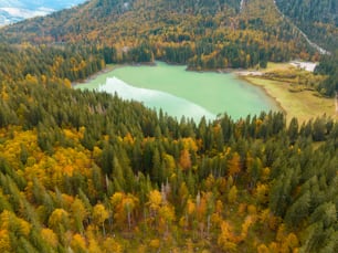 an aerial view of a lake surrounded by trees