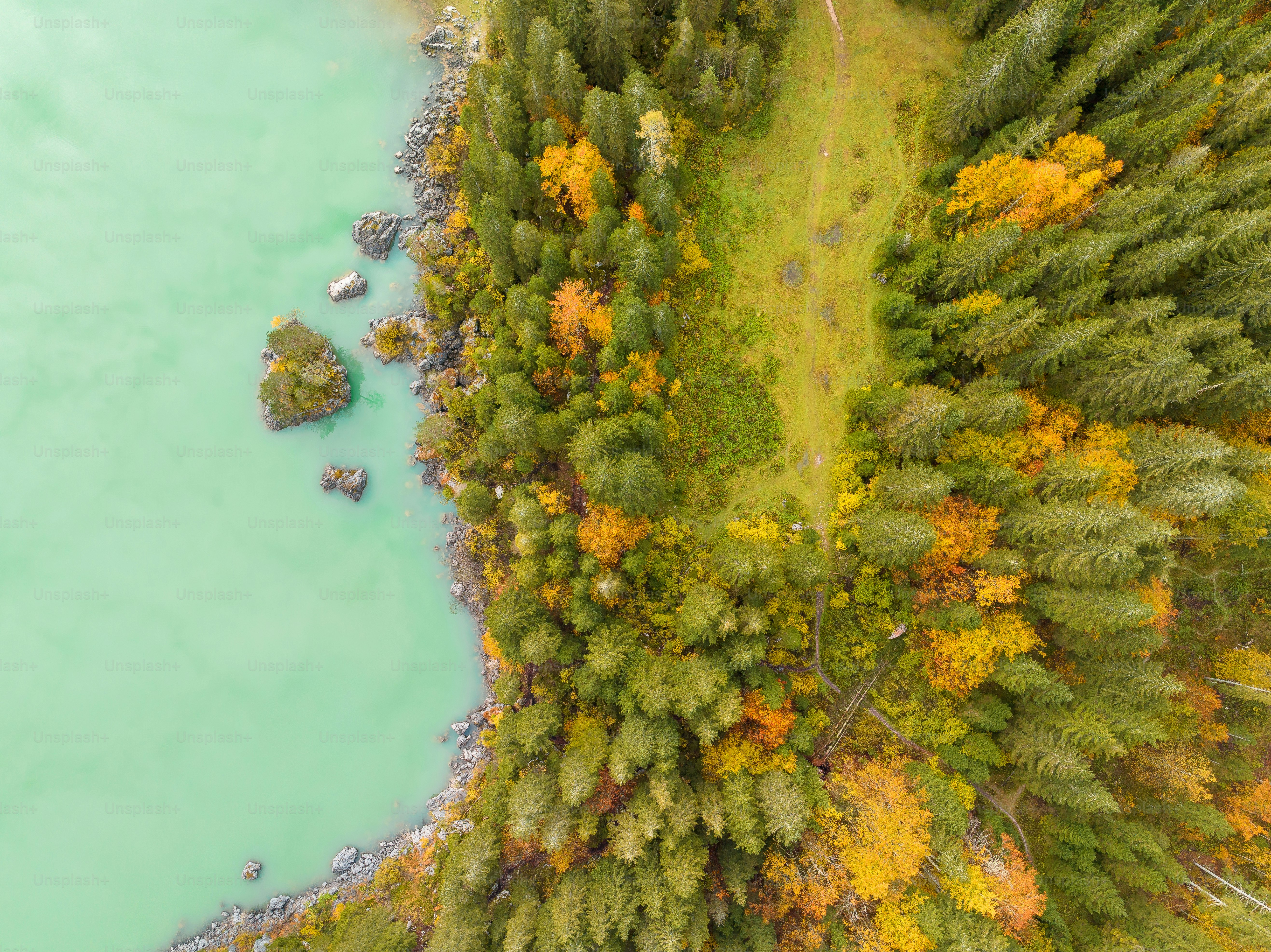 An aerial view of a lake surrounded by trees photo – Outdoor Image on ...