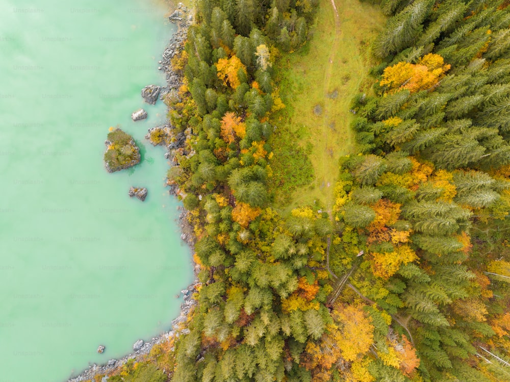 an aerial view of a lake surrounded by trees