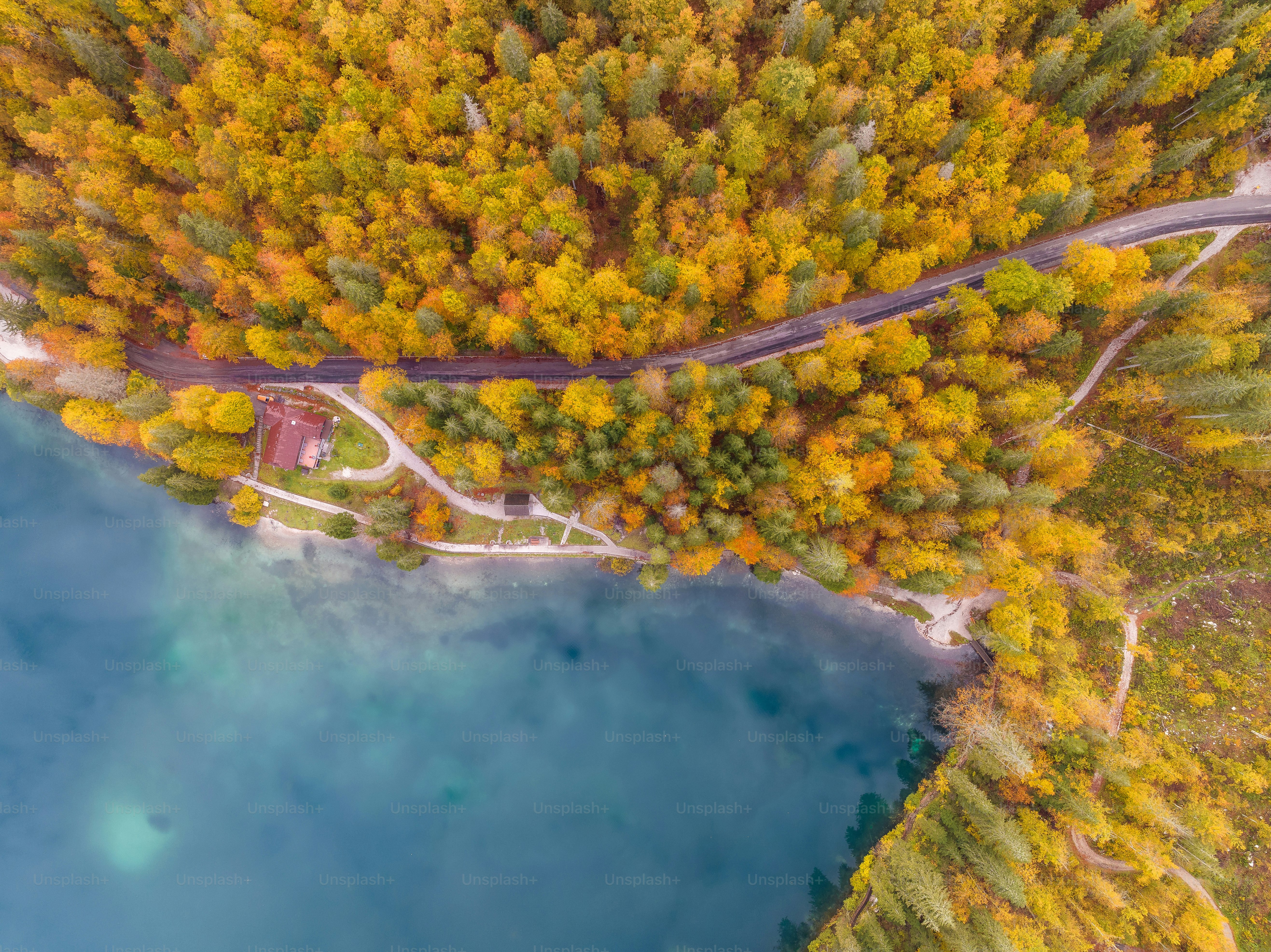 An aerial view of a lake surrounded by trees photo – Forest Image on ...
