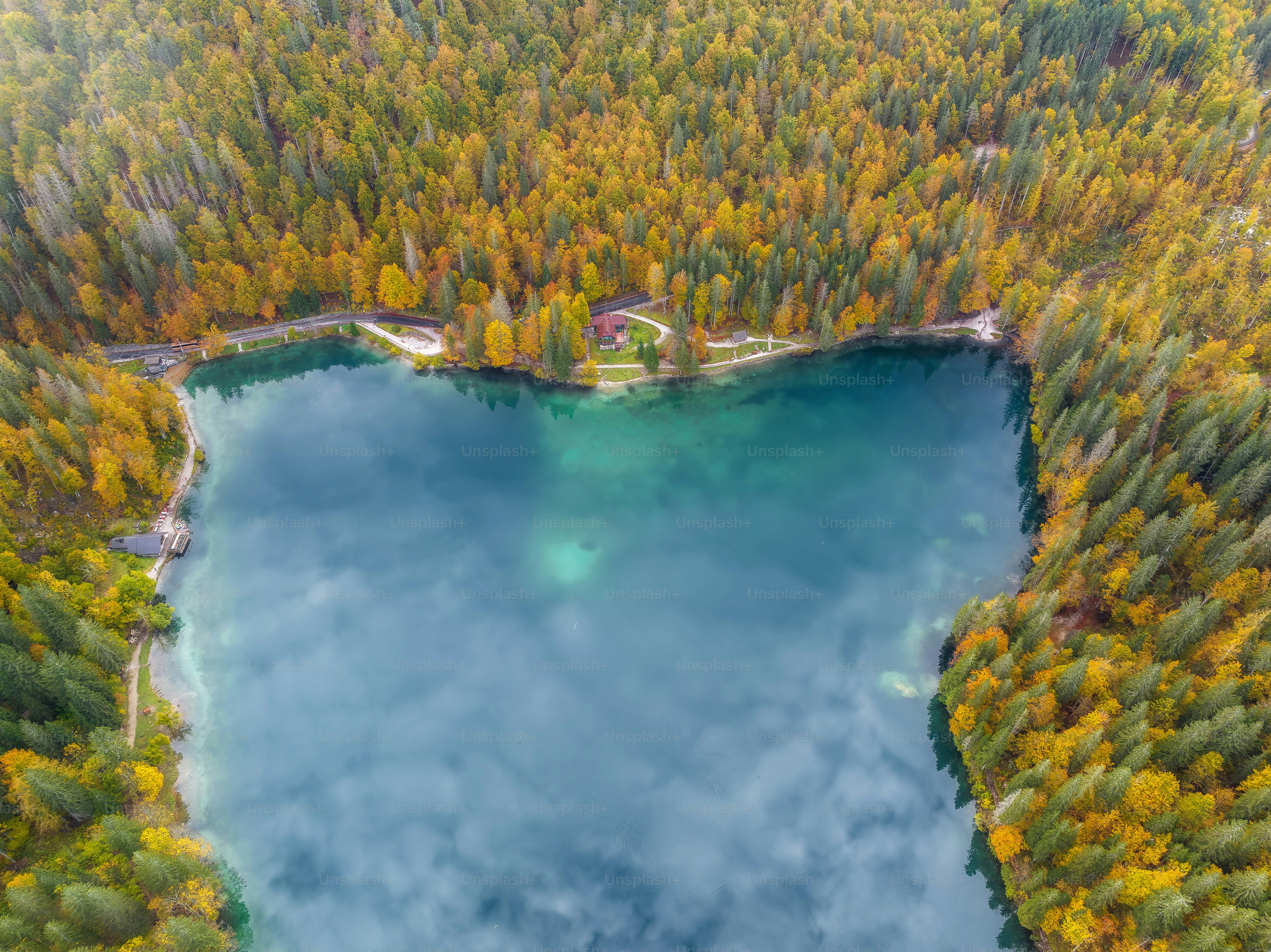 An aerial view of a lake surrounded by trees photo – Forest Image on ...