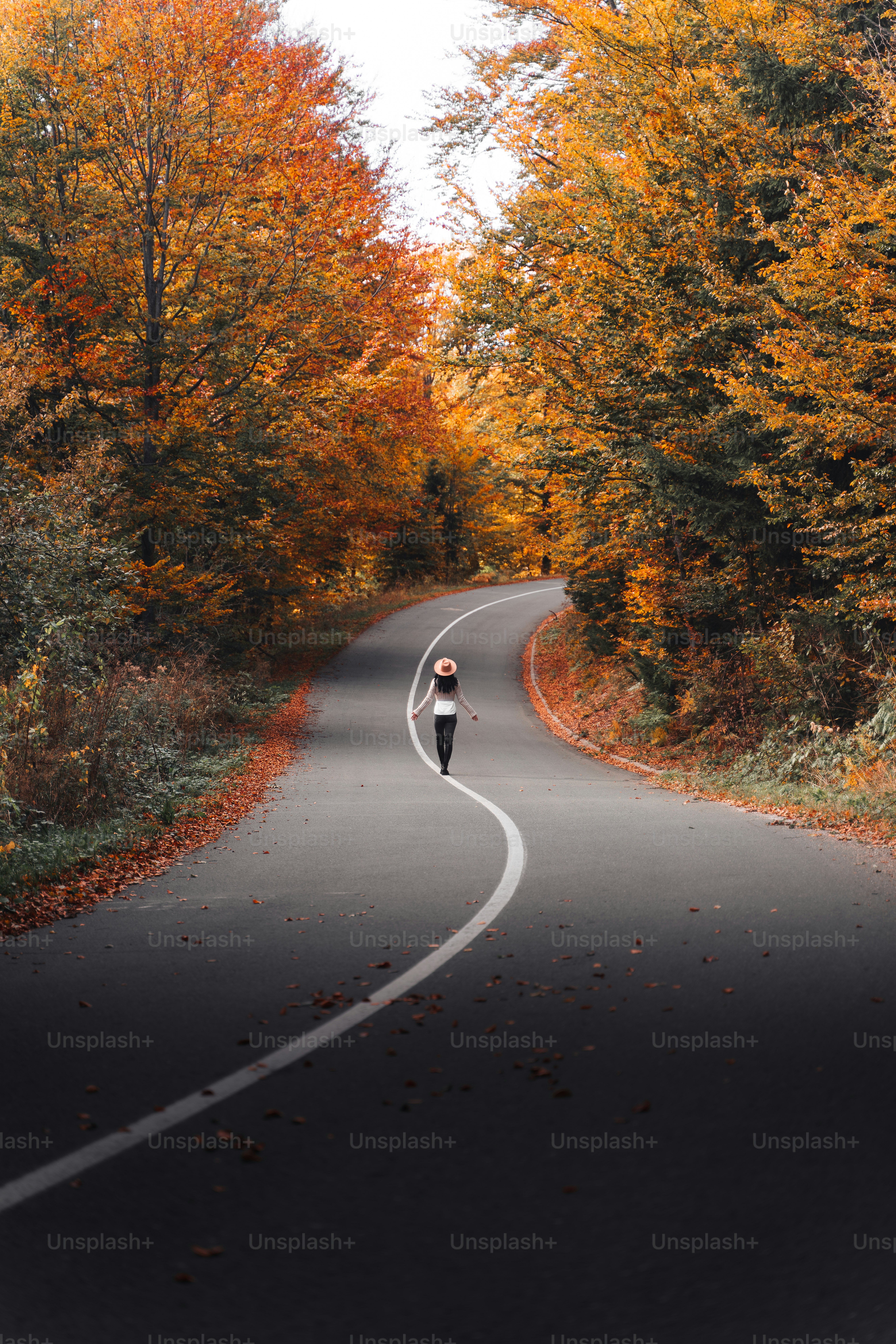 a person walking down a road in the middle of a forest