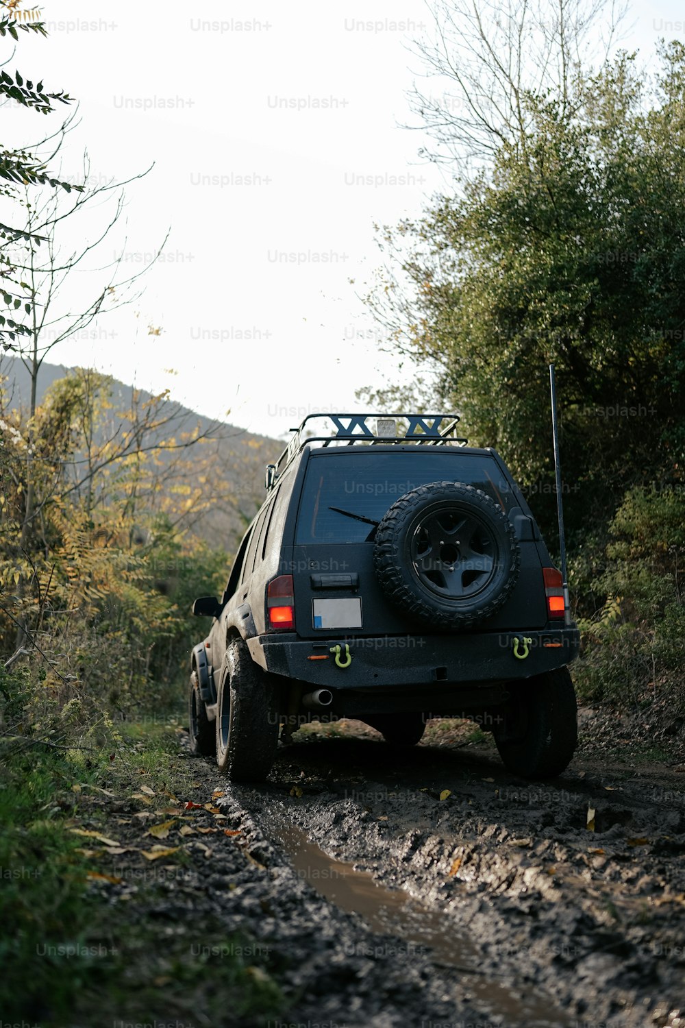 une jeep roulant sur un chemin de terre à côté d’une forêt