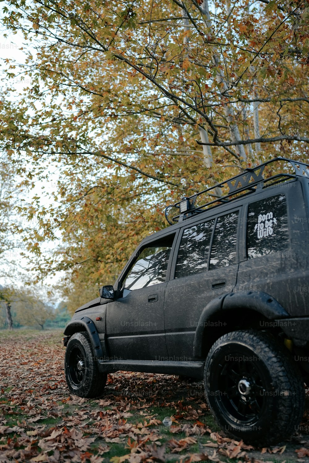 a black suv parked under a tree with leaves on the ground