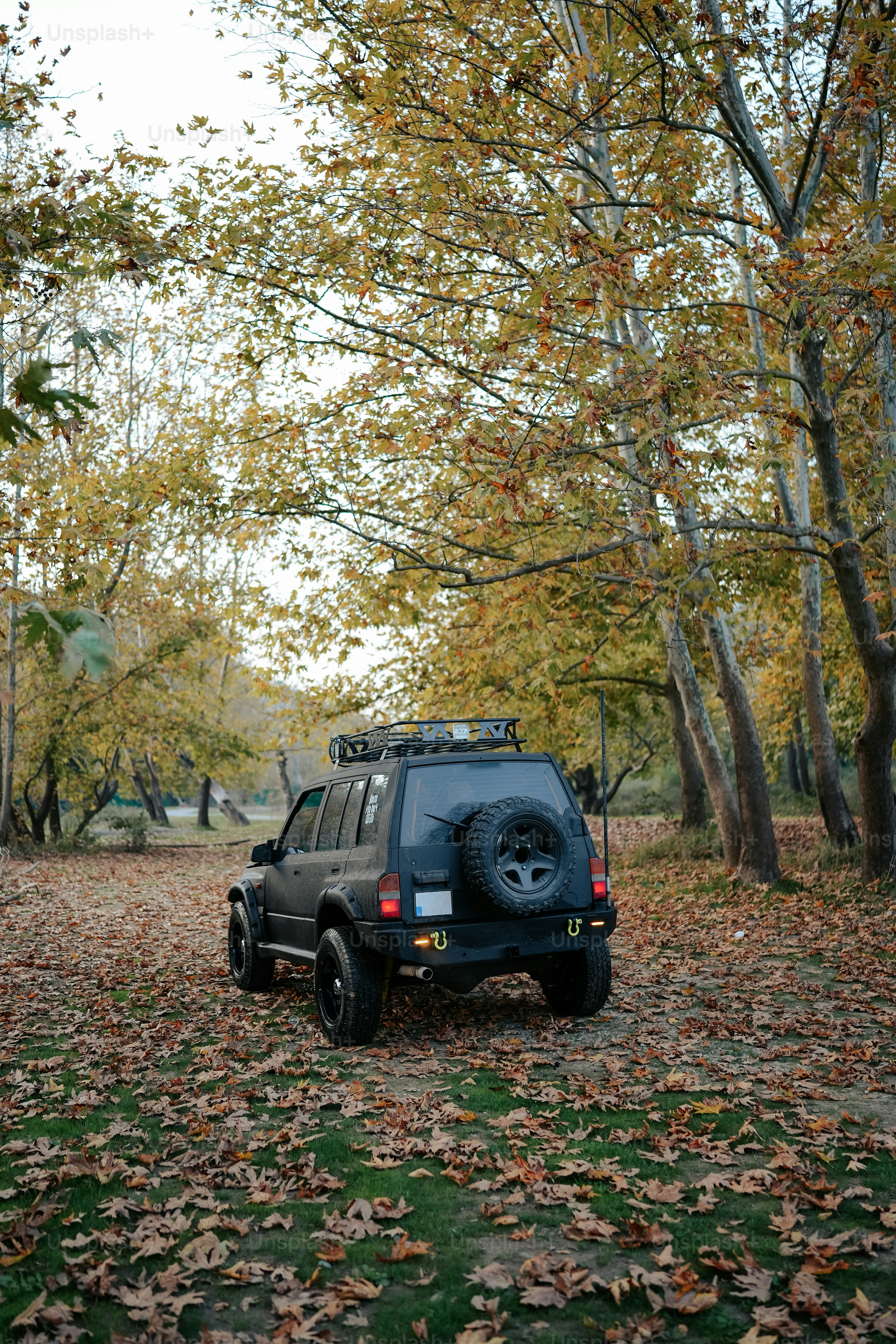 a truck parked in the middle of a leaf covered forest