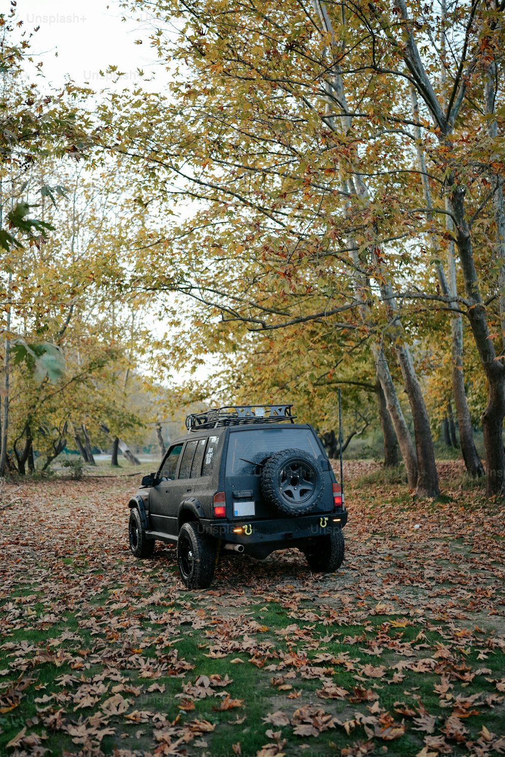 a truck parked in the middle of a leaf covered forest