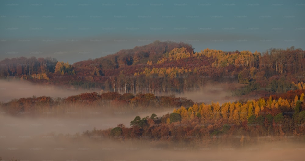 une montagne couverte de brouillard avec des arbres au premier plan