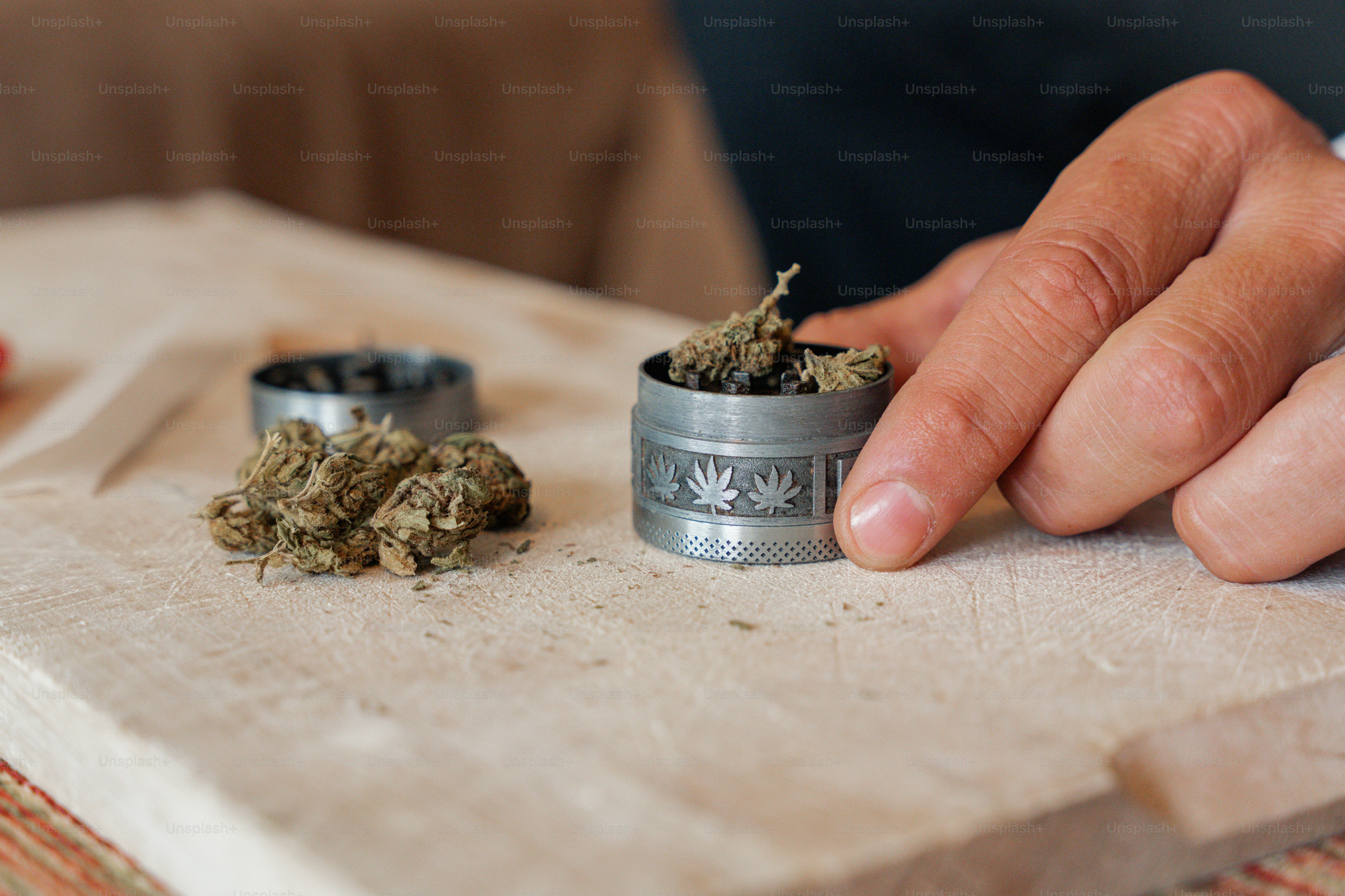 a person is holding a weed in their hand