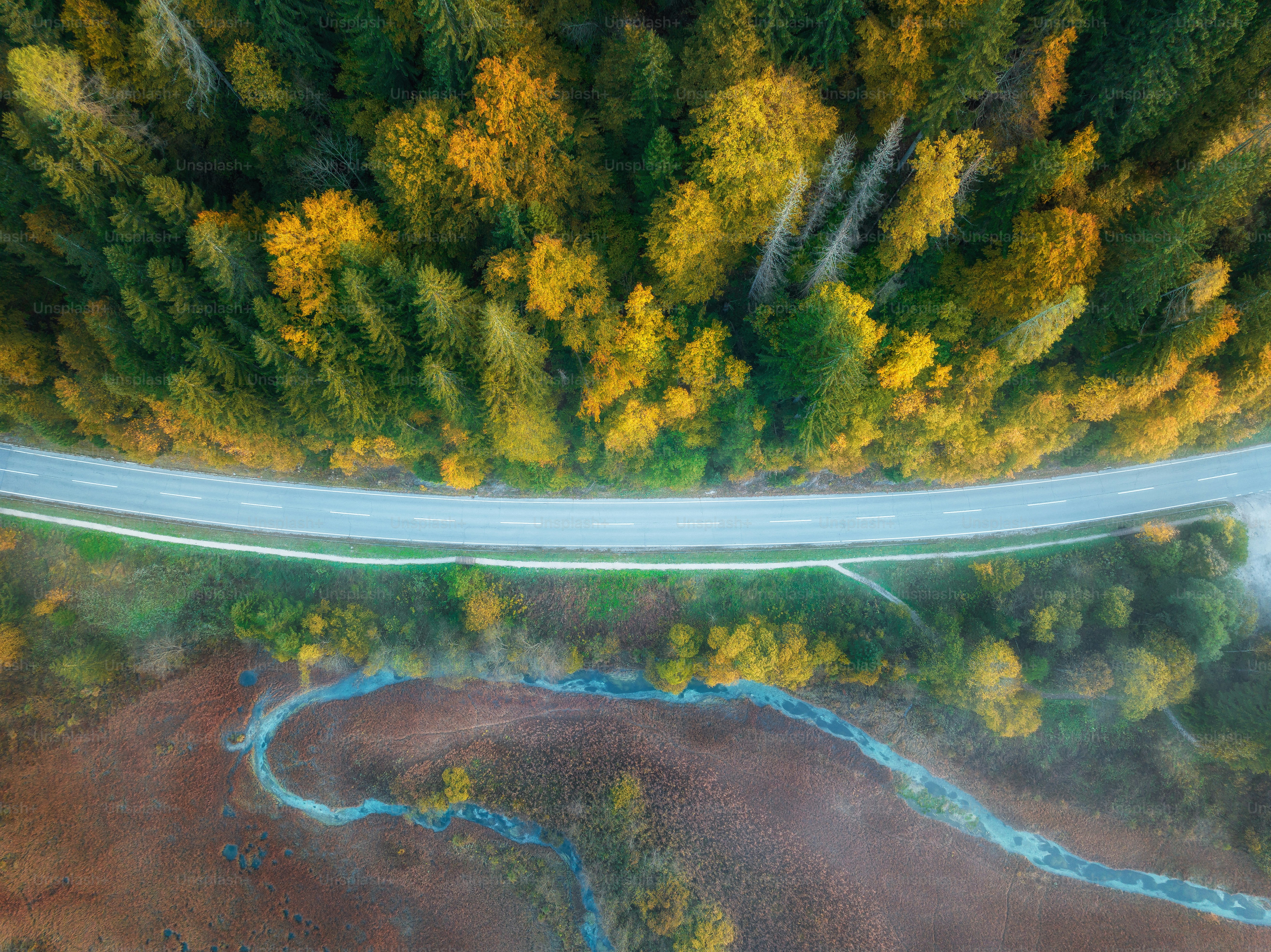 An aerial view of a road in the middle of a forest photo – From above ...