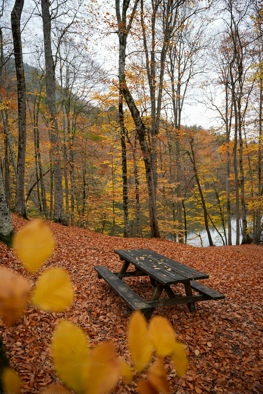 a wooden bench sitting on top of a pile of leaves